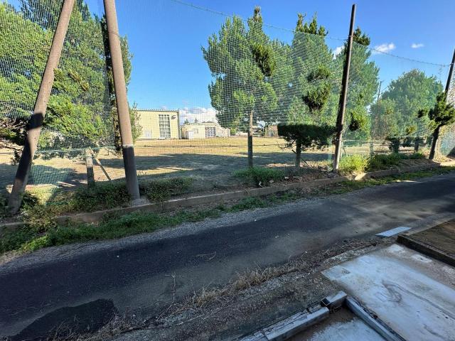 【その他】東側公園