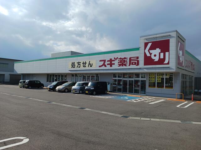【販売店】スギ薬局　西金沢店 距離：500m