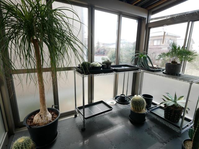 【リビング】サンルーム