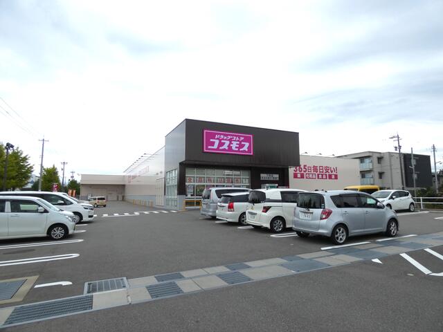 【周辺環境】ドラックストア